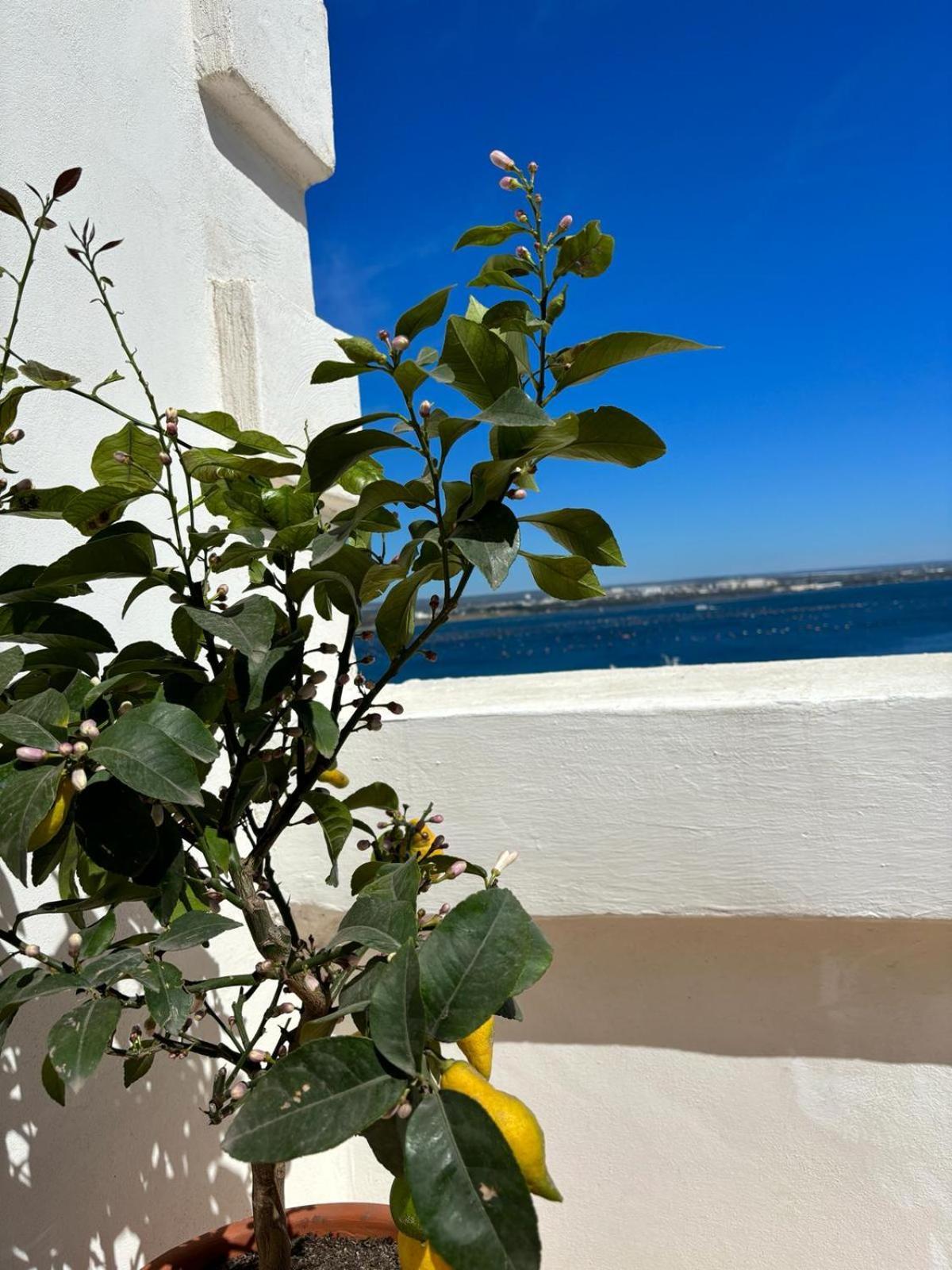 Apartmán Il Palazzino Taranto Exteriér fotografie